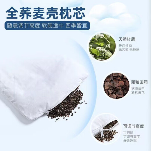 QIAOPIN children's pillow baby baby child cartoon male and female 0-7 years old buckwheat sweat-absorbent kindergarten primary school students 2 pillowcases (sky blue + light green) color matching buckwheat pillow 0-3 years old