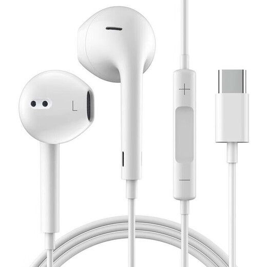 光界适用苹果iPadAir第7代耳机有线半入耳式A3270耳塞A3271平板电脑DAC数字解码线控TypeC耳麦 数字芯片耳机【白色】升级音质