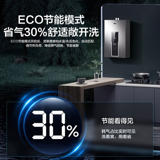 Haier (Haier) Consult customer service to get national subsidy First-level energy-saving gas water heater Natural gas 13/16 liters strong exhaust type boosted frequency conversion water servo constant temperature bath windproof and waterproof 16L wm5 boosted water servo + first-level energy saving