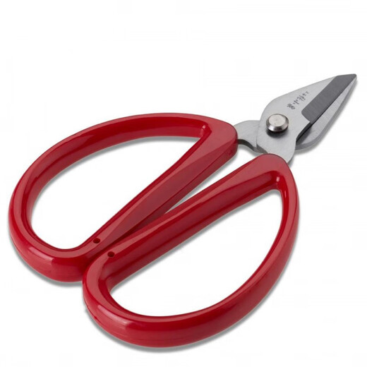 Zhang Xiaoquan Schere Shanghai Nagelschere Edelstahl Zhang Xiaoquan Stahl Haushaltsschere Shanghai Zhang Xiaoquan QNS-3