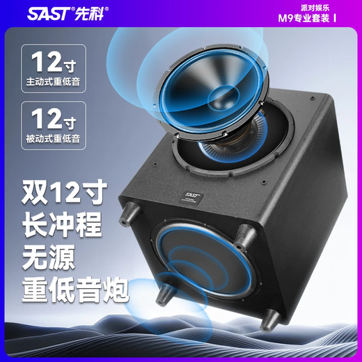 先科M9家庭ktv音响套装卡包音箱全套卡拉ok家用点歌触摸屏功放一体机新款高端家用唱歌KTV唱歌设备全套 【热卖】12吋三分频+双12吋炮+500G点歌机