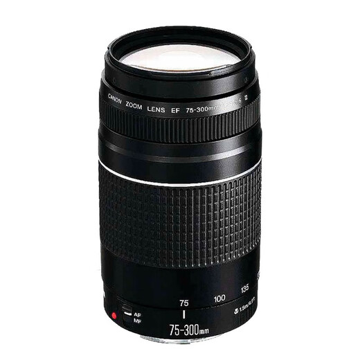 Canon EF 75-300mm f/4-5.6 III telephoto zoom lens for 80D 5D4