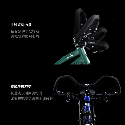 Philips (PHILLIPS) Benjamin series long-distance travel adult variable speed urban off-road mountain shock absorbing gravel road bike snow ridge spruce oil disc 700C (85% installation version) 27 speed