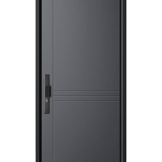 帝卡西DKX-奢华2050*960防盗门安全门入户门智能门轻奢户门