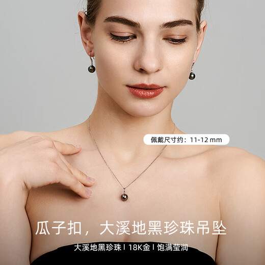 Chishe Tahitian Black Pearl Pendant 18K Gold Necklace Perfect Round Seawater Pearl Clavicle Chain for Girlfriend and Mom Gift S-Class Perfect Round +S925 Silver Chain 12-13mm