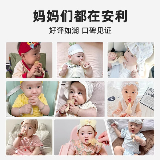 Royalcare Baby Fruit and Vegetable Artifact for Babies Over 6 Months Baby Pacifier Food Bite Bag Food Grade Silicone Whale S Code + L Code Mesh Bag + Anti-chain Powder 1 Pack