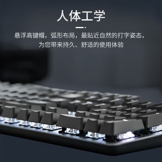 罗技（Logitech）机械键盘K845 有线键盘 全尺寸单光 TTC轴 游戏办公键盘 DIY键帽 K845红轴+薰衣草键帽