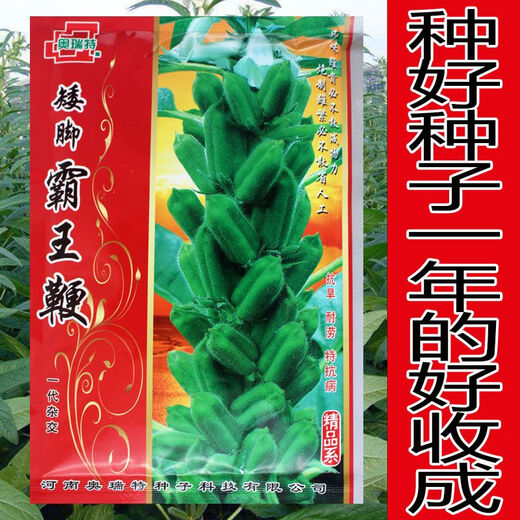 New species of Short-legged Overlord Whip Aerospace Overlord Whip sesame seeds, medium-early maturing and high-yielding sesame seeds specially used for oil extraction. Short-legged Overlord Whip/200g High-yield White Zhizhi