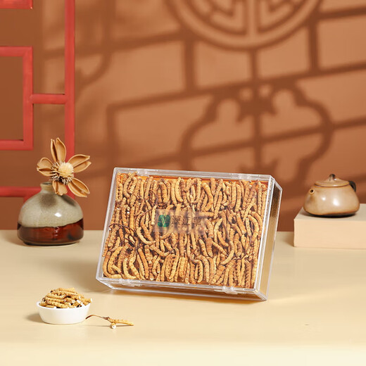 Yuanjiang Grass Cordyceps sinensis Selección de Cordyceps vulgaris Paquete asequible para suplementos nutricionales de edad avanzada para regalos de autoalimentación 100 gramos de hierba rota