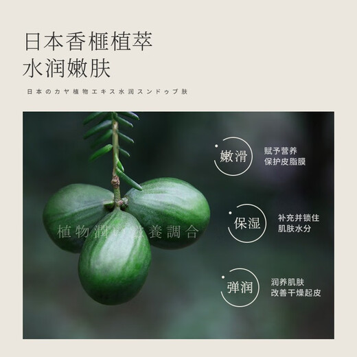 浅香（ASAKA）洗发水氨基酸洗发乳套装清爽控油蓬松留香套装洗发水 香榧氨基酸顺滑乳688g（紫色版） 现货速发
