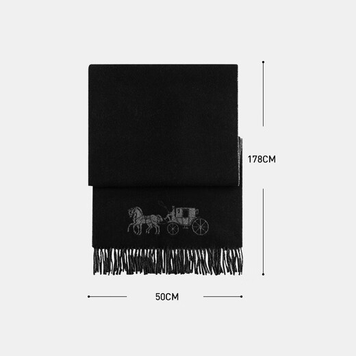 Écharpe d'entraîneur pour hommes et femmes Universal Wool Scarf écharpe Carriage Couple imprimé Modèle 4622 BKHG
