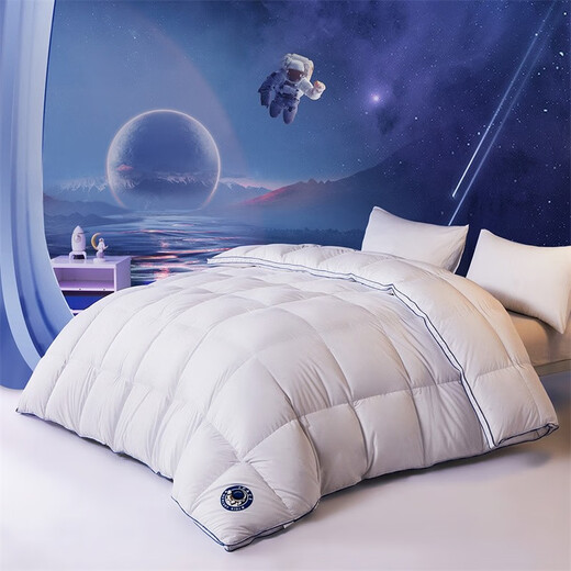 Mercury Home Textiles Quilt Duvet Imported from Poland 95% White Goose Down Infant and Toddler Class A Antibacterial and Anti-mite Goose Down Quilt Winter Quilt Winter Quilt (95% Polish White Goose Down/Class A Antibacterial) 120 150cm (Adapted to 1.0m bed kit)