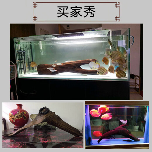 Großes sinkendes Holz 60-80 cm Fischtank Landschaftsgestaltung Ornamente Großer Baumstumpf Drachen Fischtankbogenbrücke sinken Holzaquariumqualität 9854 wurde in Sekunden gekocht