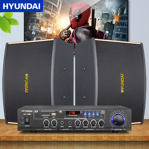 HYUNDAI modern 6.5-inch home theater KTV audio combination home Bluetooth amplifier karaoke conference audio home karaoke computer TV living room audio