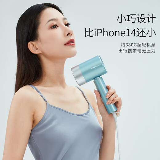 Royalstar Hair Dryer Home Light Care Hair Dryer High Power Quick Drying Hair Dryer Ladies Portable Hair Dryer Gifts for Girls Holiday Gifts Green Exclusive Hair Care Professional Hair Dryer