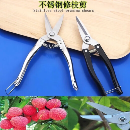 Mo Shenggu stainless steel gardening pruning shears, fruit picking shears, grape and orange picking tools, garden fruit tree scissors, spring shears, small fruit shears