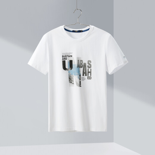 HLA Hailan House short-sleeved T-shirt men's summer printed pattern round neck cotton short THNTBJ2Q084A off-white pattern (84) 175/92A (50)