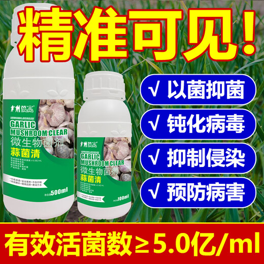 Garlic Bacteria Extract Original Liquid Garlic Special Medicine Dry Tip Yellow Leaf Root Rot Leaf Blight Rust Purple Spot Sterilizing Garlic Bacteria Clear 100ml 1 Bottle