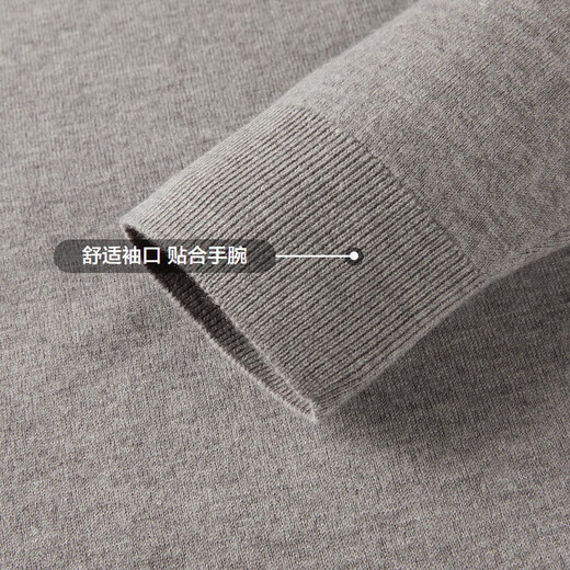 HLA Hai Lan House [brand exclusive] long-sleeved sweater men's light business classic round neck pure wool sweater