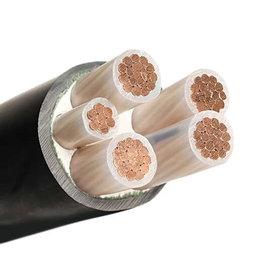 Jiayan wire and cable YJV4*25+1*16 square 5-core national standard copper core cable fully inspected 1 meter enterprise