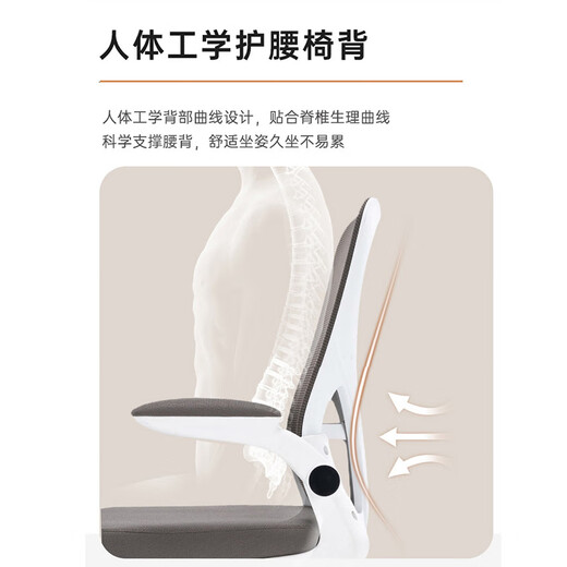 舒客艺家人体工学椅子电脑椅升降办公椅学生儿童学习椅久坐舒服靠背椅家用 983四腿学习椅-白黑+头枕