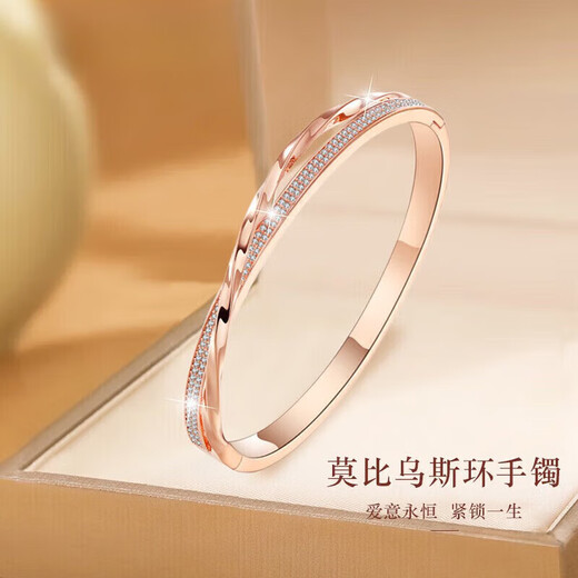 Ji Sifan Light Luxury Bracelet Women's Four-leaf Clover Bracelet Jewelry Valentine's Day Anniversary Birthday Gift for Girlfriend and Wife Mobius Infinite Love Bracelet (Next Day Delivery)