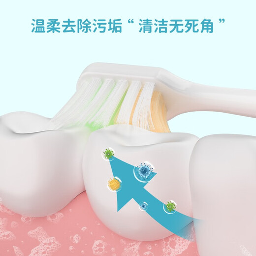 OralGos British Children's Ultra-fine Soft Brush Cleaning Oral Dental Children 3-12 Years Old Students Do Not Injure Gums [2 Boxes] Soft Brushed Toothbrush 4