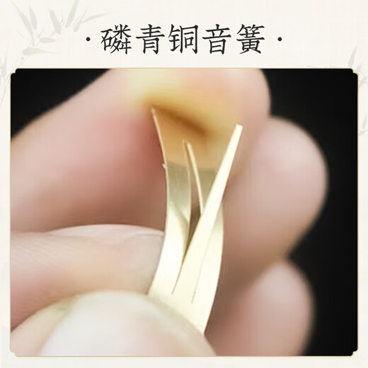 Swan (SWAN) H31 Hulusi Nanzhu anti-fall C key children primary school students beginners practice three-note double white copper performance grade Hulusi