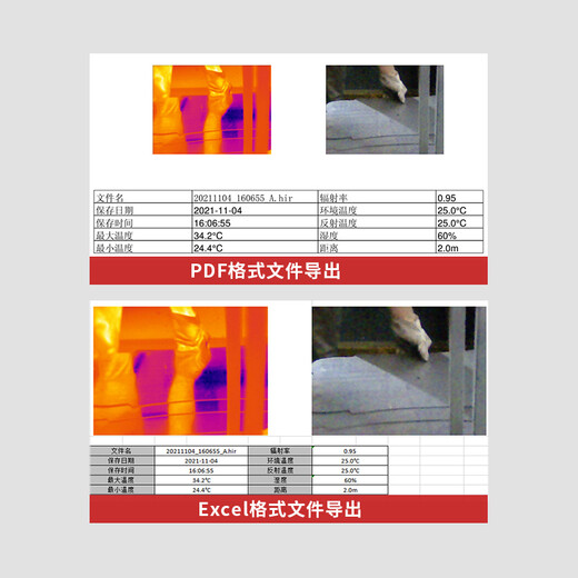 华盛昌（CEM）DT-9887红外热成像仪高端工业手持测温仪 高精度地暖电气泄漏检测