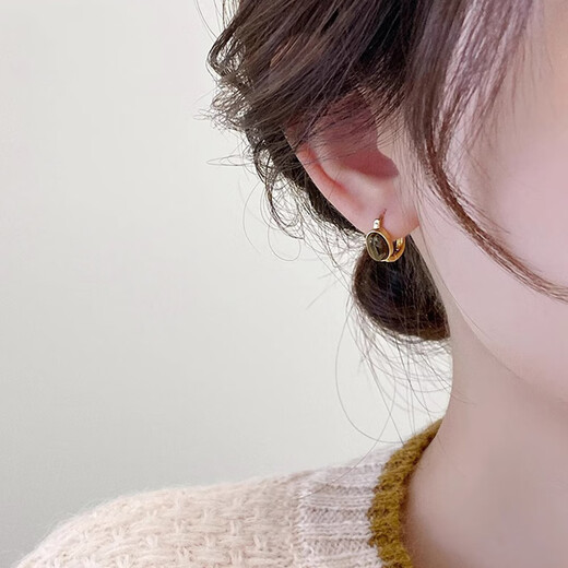 LANSILL retro unique tiger eye stone earrings for women 2025 new niche high-end ear buckle oval small Maillard earrings E3732 Maillard tiger eye stone ear buckle