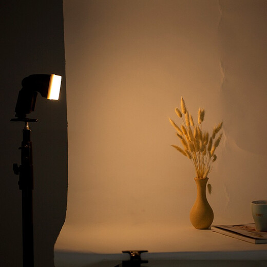 Godox V1/ V860III/V850II/TT600/TT685/TT520 soft box flash diffuser third generation TT520II second/third generation diffuser white official standard