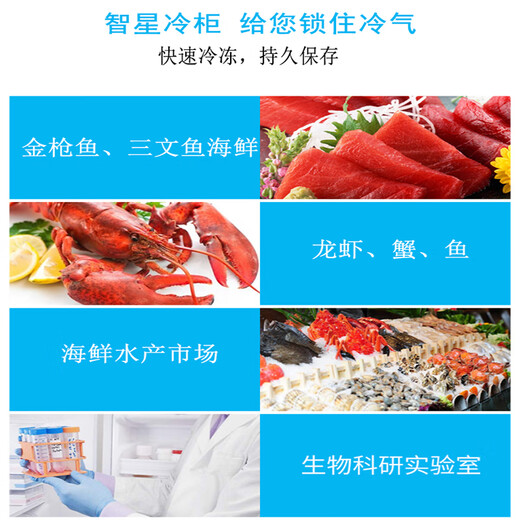智星（ZX）超低温冰柜小型零下60度速冻金枪鱼海鲜商用科研工业实验室大容量卧式家用冰箱干冰保存冷柜 DW-695(-65度）