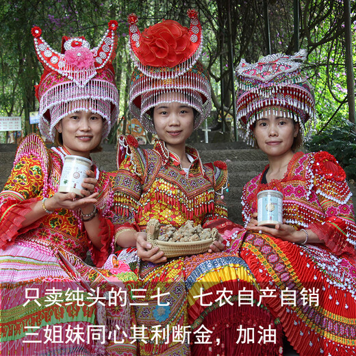 Quanyan Yunnan Wenshan Sanqi No Cutout Authentic printemps 18 têtes 20 têtes 30 têtes Tianqi Powder 500g 14 têtes 14 têtes 14 Pas de découpe [500] G