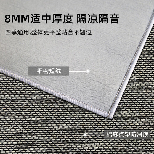 Silver shield carpet living room 2024 new light luxury sofa blanket gray bedroom free wash wipeable full-shop free care floor mat modern 16779 160*230cm
