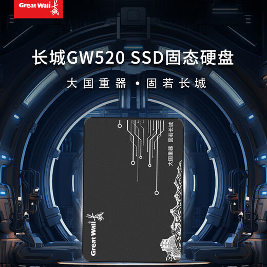 长城（Great Wall） 480GB SSD固态硬盘 SATA3.0接口 读速520MB/S台式机/笔记本通用 GW520系列