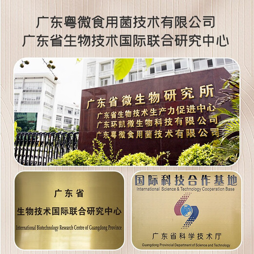 粤微牌破壁灵芝孢子粉提取物胶囊 中老年保健品送礼提高免疫力三萜 90粒*12盒【囤货更划算】