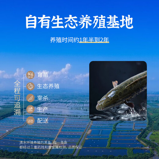 Zhongyang Yutianxia no-slurry black fish fillet 300g pickled fish hot pot fresh source straight hair no-wash no-cut boiled fish fillet