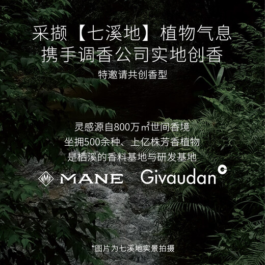 栖溪（TSICY）香水雪浸山茶竹子桃花檀木质花香水持久留香便携淡香水送人礼物 雾月竹影香水 9ml