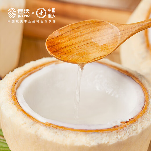 JOYVIO Imported from Thailand Green Coconut Perfume Coconut 4 Pack Large Fruit 900g+ Straight from the Source Fresh Fruit