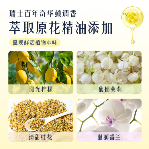 Zealand Air Freshener Solid Aromatherapy Toilet Deodorizing Air Fragrance Lemon Scent 6 Boxes + Jasmine Scent 3 Boxes