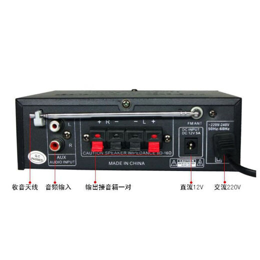 桐汝壁适用于蓝牙功放机家用大功率迷你小型功放器220V12伏车载插卡FM收 BT699D(有蓝牙)
