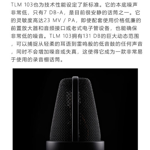 NEUMANN TLM103 condenser microphone professional performance karaoke recording anchor live broadcast microphone equipment complete set TLM103 small package standard nickel color