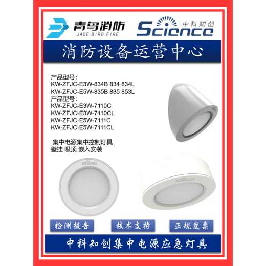青鸟消防中科知创应急灯疏散标志集中电源箱地埋灯单向 3W 吸顶 安装应急灯  834/834B/711
