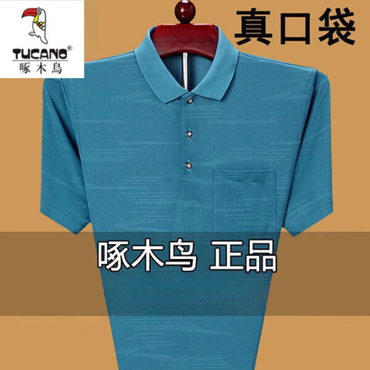 Holzspecker (Tucano) Sommer mittleren Alters mittleren Alters mit kurzem T-Shirt Lose Polo-Basis Hemd Großgröße halbärmelig T-Shirt Dad Herren Kleidung 753 hellgrün [Realtasche] 180/xxl Vorschlag 160180jin [Jin gleich 0,5 kg]