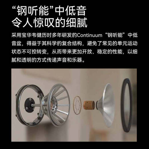 B/W Baohua Wei Jian 700 Serie 702S3 Floor-standorientiertes Hauptredner + PM10S1-Verstärker Hi-Fi HiFi Heimkino 2.0 Passiver Audio-Lautsprecher Set