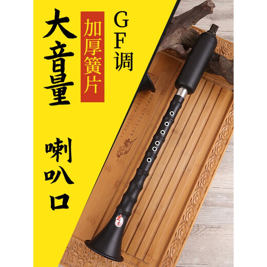 ONEVAN巴乌乐器竖吹成人演奏小学生初学入门大音量G/F 单管乐器 竖吹G+防摔硬盒+中国结