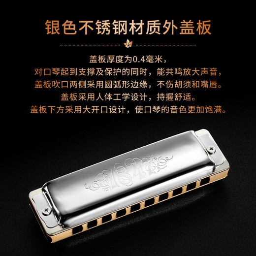 SEYDEL德国进口SEYDEL赛德 十孔10蓝调成人口琴 1847 CLASSIC 10孔D调