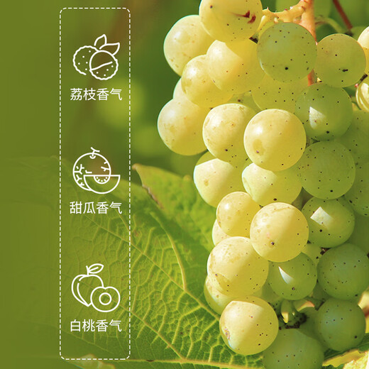 优尼特（Riunite）莫斯卡托甜白起泡酒葡萄酒香槟瓶型气泡酒618百亿盲盒微醺果酒 【80%用户选择】米兰之花单支