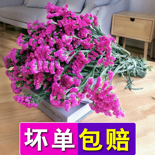 AIMAN Yunnan Ramo de flores secas de estilo natural Nomeolvides Adornos decorativos de flores reales Sala de estar Arreglos florales pequeños y grandes Jin Jin es igual a 0,5 kg, se vende como regalo, nomeolvides rojo rosa, 50 piezas en total, ramas semisecas