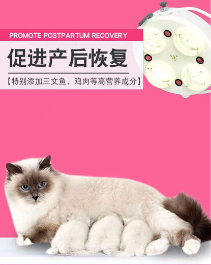 TING HAO Cat Food for Cat Mothers during Lactation, Nutrients for Pregnant Cats, Breastfeeding, Confinement, Mother Cats, Lactation, Postpartum, Fish Flavor Cat Food, 5 Jin Jin is equal to 0.5 kg